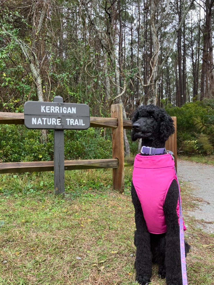 Jinkx posing in front of a hiking trail, wearing a pink vest