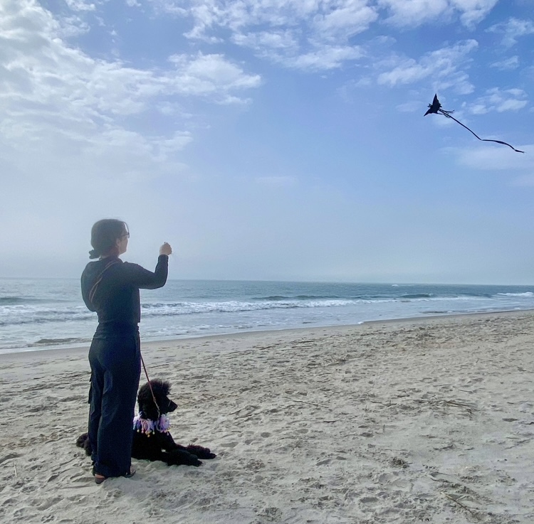 Are Service Dogs Allowed on the Beach?