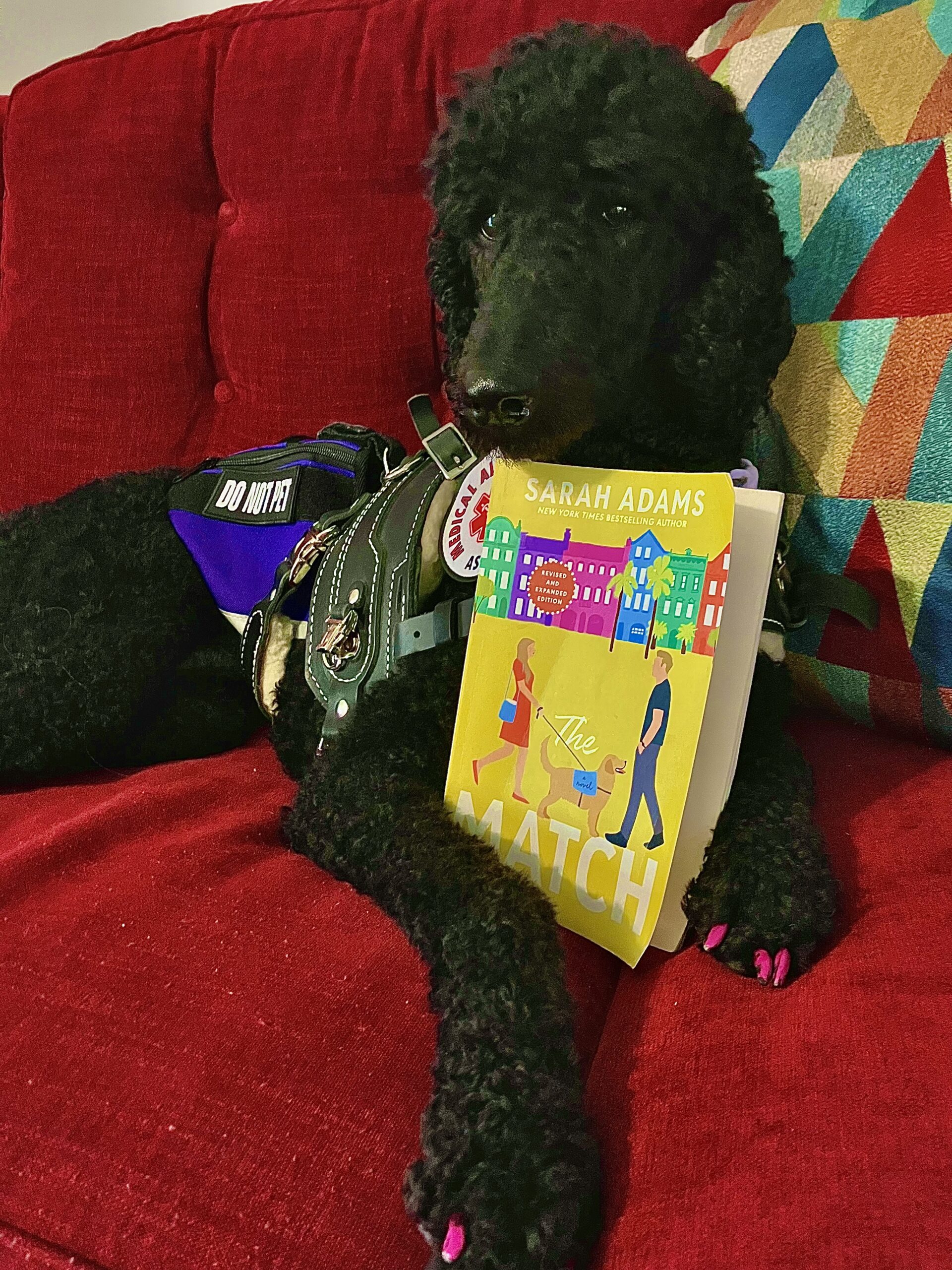 Book Review: Does Sarah Adams’ The Match Get Service Dogs Right?