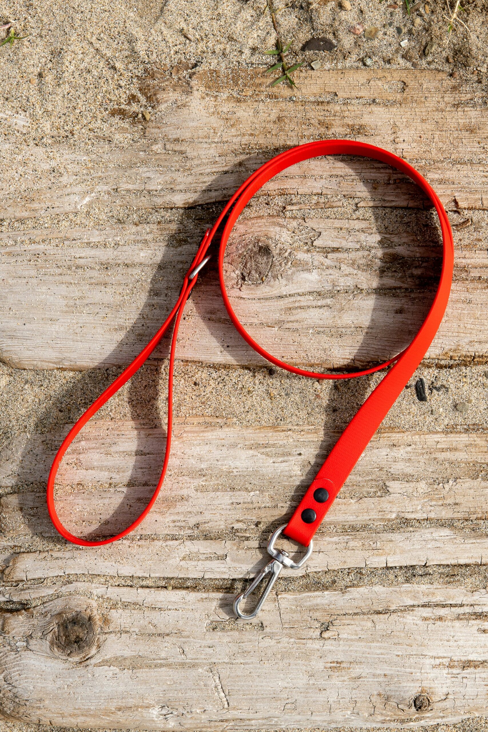 Best Service Dog Leashes Under $20