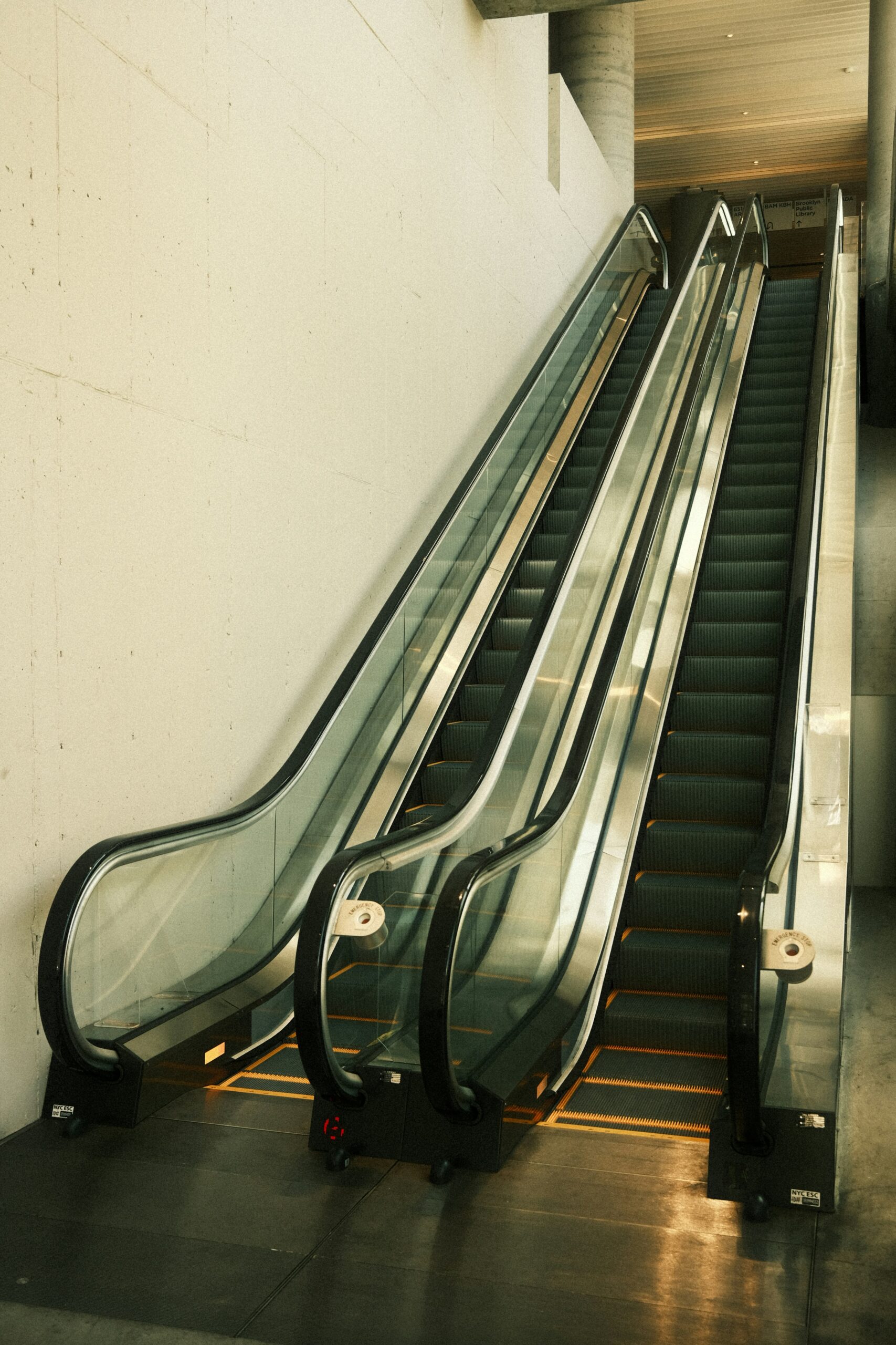 Service Dog Dangers (and Why to Avoid Them)